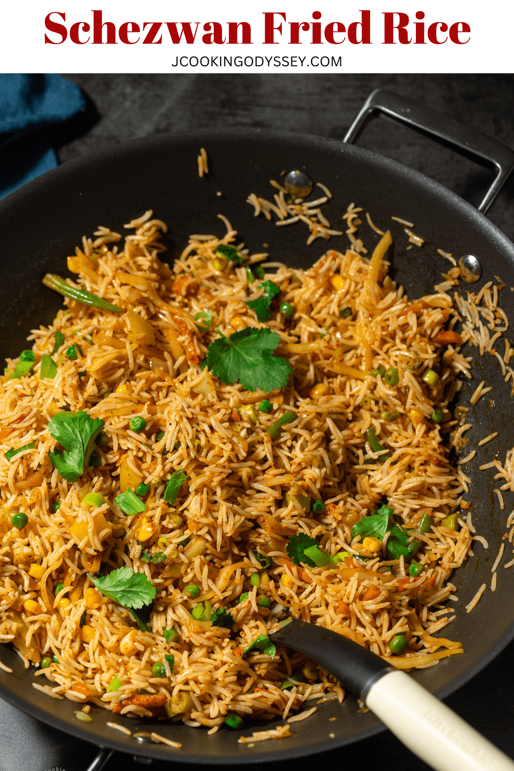 Schezwan Fried Rice | J Cooking Odyssey
