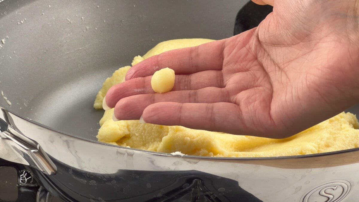 a female hand is showing a barfi mixture  