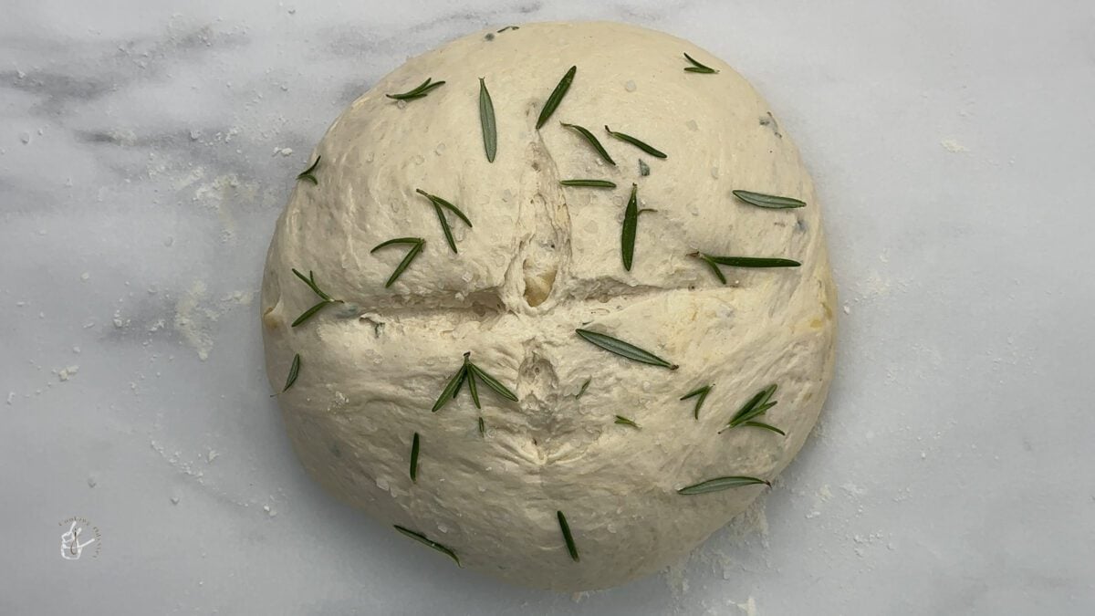 no knead bread dough scored and topped with fresh rosemary