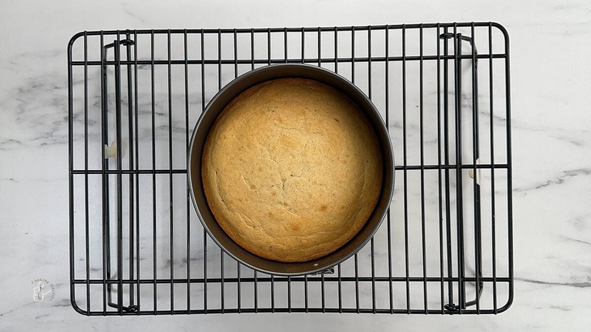 baked eggless cake sponge cooling on a wire rack