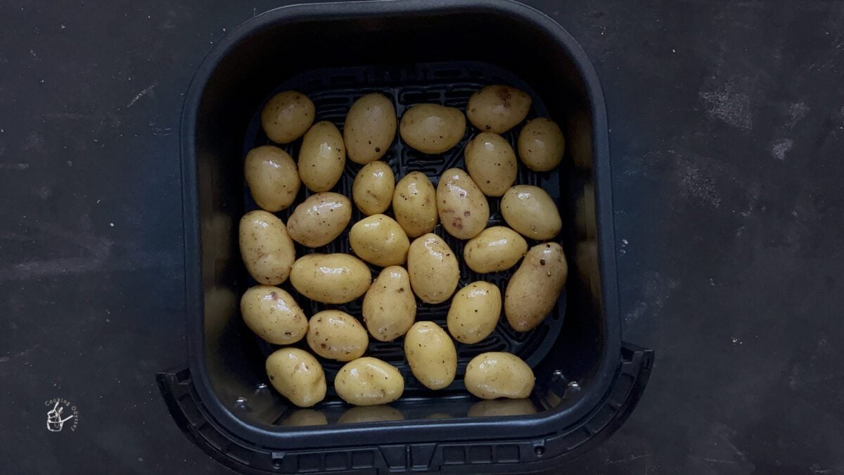 small potatoes in the air fryer basket ready to bake in the air fryer.