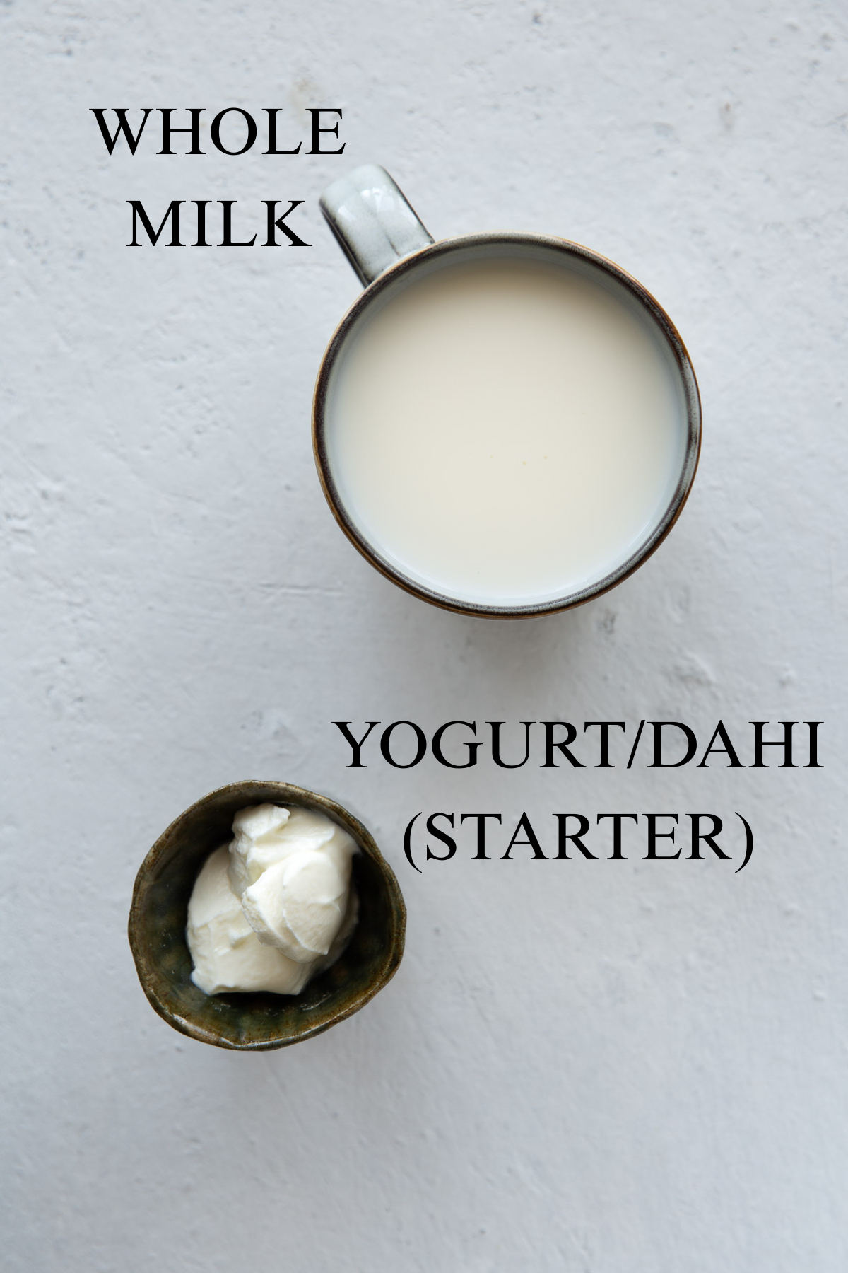 Whole milk and plain yogurt in bowls. 